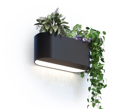 Бра: четыре схемы освещения бра Svetholl